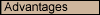 Internet Advantages